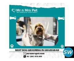The Best Dog Grooming in Ghaziabad - 1