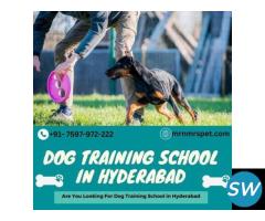 Best Dog Training School in Hyderabad - 1