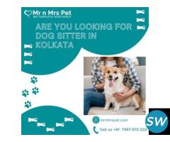 Professional Dog Sitter in Kolkata - 1