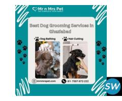 Best Dog Grooming Services at Home in Ghaziabad