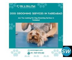 Are You Looking For Dog Grooming in Visakhapatnam