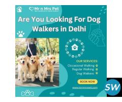 Are You Looking For Dog Walkers in Delhi