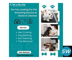 Best Pet Grooming Service at Home in Chennai