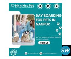 Best Day Boarding for Pets in Nagpur - 1
