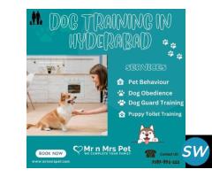 Best Dog Training at Home in Hyderabad