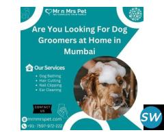 Professional Dog Groomers at Home in Mumbai