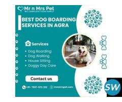 Are You Looking For Dog Boarding Services in Agra