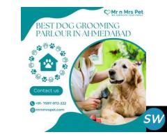 Best Dog Grooming Parlour in Ahmedabad