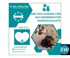 Are u Looking For Day Boarding For Dogs in Kolkata - 1