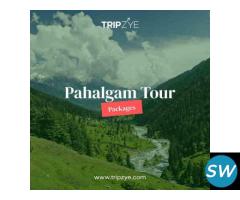 pahalgam holiday packages - 1