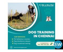 Are You Looking For Dog Training in Chennai