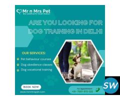 Are You Looking Fog Dog Training in Delhi - 1