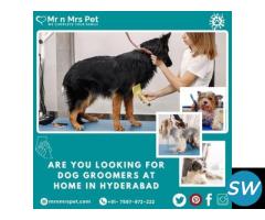 Best Dog Groomers at Home in Hyderabad