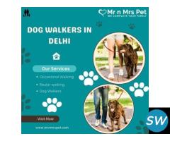 Dog Walkers in Delhi at Affordable Price