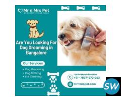 Best Dog Grooming at Home in Bangalore