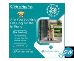 Are you Looking for Dog Hostel in Pune