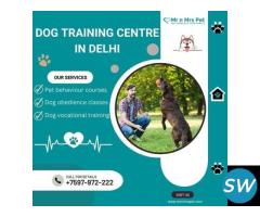 Best Dog Training Centre in Delhi - 1