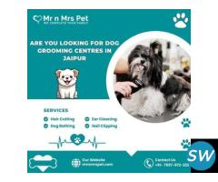 Best Dog Grooming Centres in Jaipur