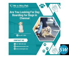 Best Day Boarding For Dogs in Chennai