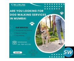 Are You Looking For Dog Walking Services in Mumbai