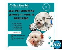 Best Pet Grooming Service at Home in Ghaziabad - 1