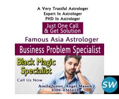 black magic expert, love marriage specialist,