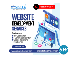 Website Development Company in Delhi - 1