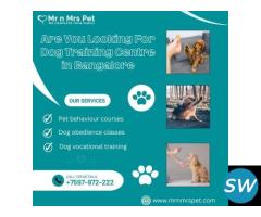The Best Dog Training Centre in Bangalore