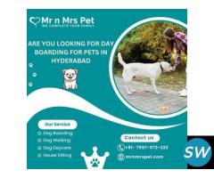 Professional Day Boarding For Pets in Hyderabad