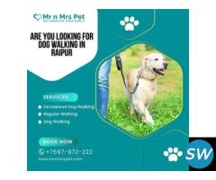Are You Looking For Dog Walking Services in Raipur