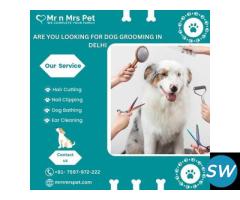 Are you Looking For Dog Grooming in Delhi - 1