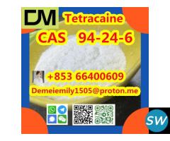 CAS 94-24-6 Tetracaine China Low price - 1