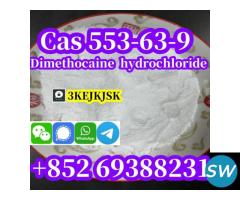 Dimethocaine hydrochloride Cas 553-63-9 - 4