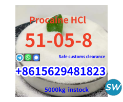 99.9% Procaine HCl Procaine HCl CAS 51-05-8