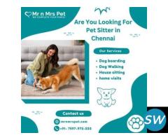 The Best Pet Sitter in Chennai - 1