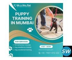 Best Puppy Training at Home in Mumbai