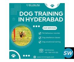 Professional Dog Training in Hyderabad