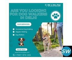 Are You Looking For Dog Walkers in Delhi - 1