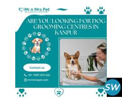 Best Dog Grooming Centres in Kanpur