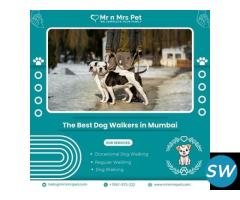 The Best Dog Walkers in Mumbai