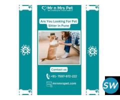 Are you Looking For Pet Sitter in Pune - 1