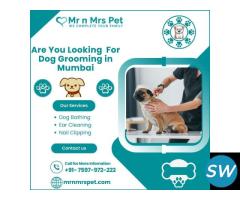 Best Dog Grooming at Home in Mumbai - 1