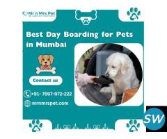 The Best Day Boarding For Pets in Mumbai