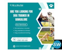 Are You Looking For Dog Trainer in Bangalore - 1