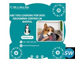 Best Dog Grooming Centres in Bhopal