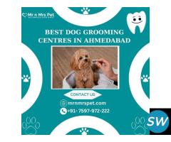 The Best Dog Grooming Centres in Ahmedabad