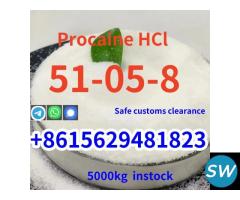 Procaine HCl CAS 51-05-8