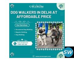 Dog Walkers in Delhi at Affordable Price