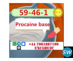 Procaina Base Powder CAS 59-46-1 Procaine