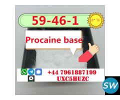 Procaina Base Powder CAS 59-46-1 Procaine